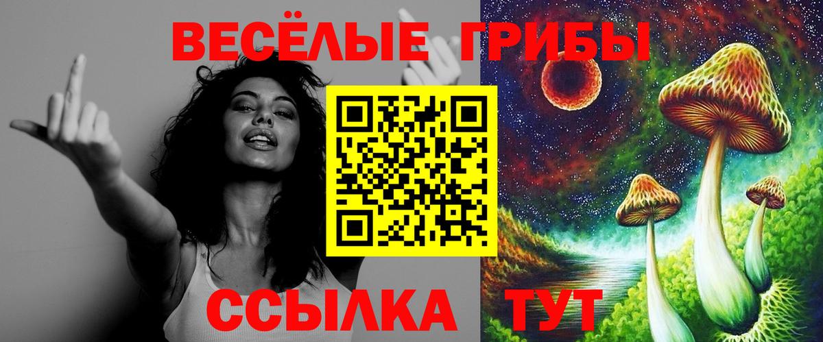 Псилоцибиновые грибы GOLDEN TEACHER  Галлюциногенные грибы Psilocybine cubensis  Вход с VPN  Сосновоборск 